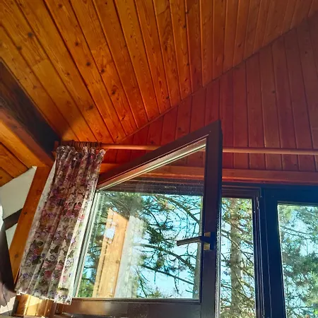 In-the-middle-of-nature Spacious Nest Brandenburg Airport