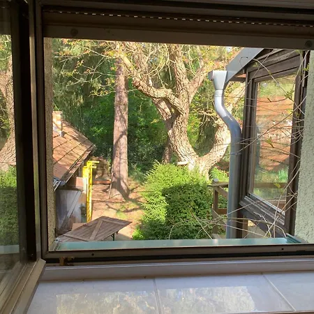 Maison d'hôtes In-the-middle-of-nature Spacious Nest Brandenburg Airport Berlin