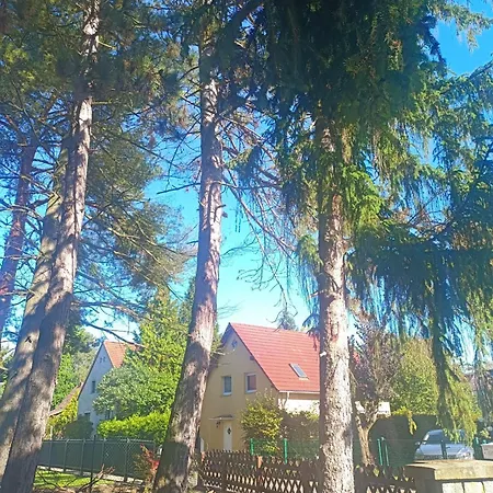 Pensionat In-the-middle-of-nature Spacious Nest Brandenburg Airport *