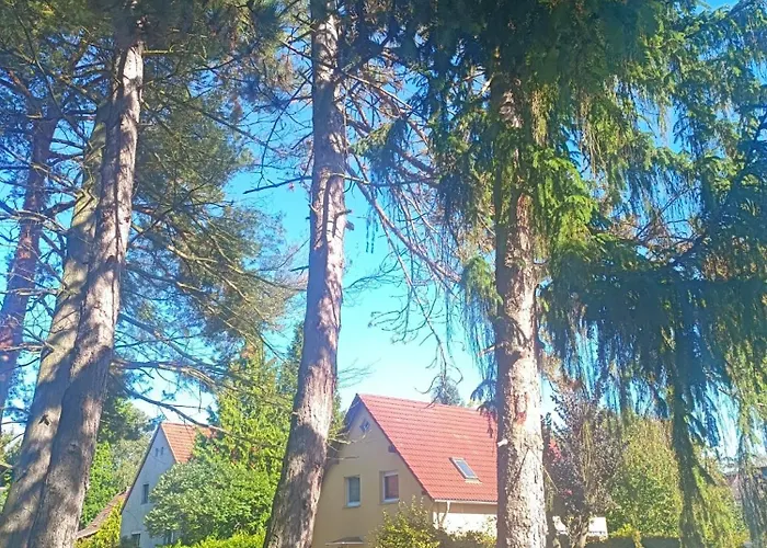 Гостевой дом In-the-middle-of-nature Spacious Nest Brandenburg Airport *